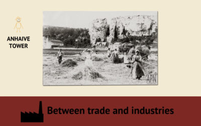 Between trade and industries